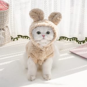 cat clothes 3