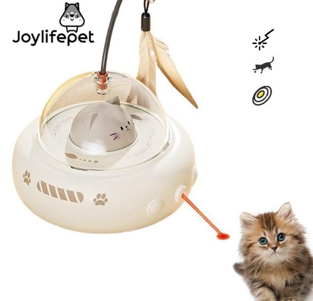 A81206c70db01462f822a29e1ff360ac4j