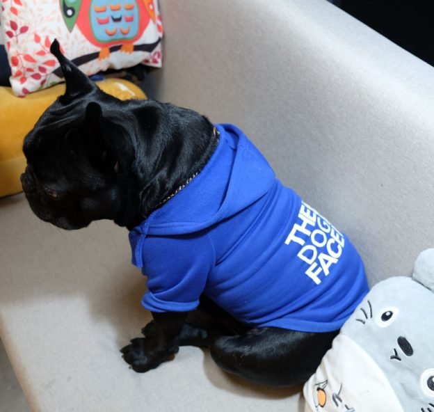 H64841b8d920c42639ef108ce046d46e5S