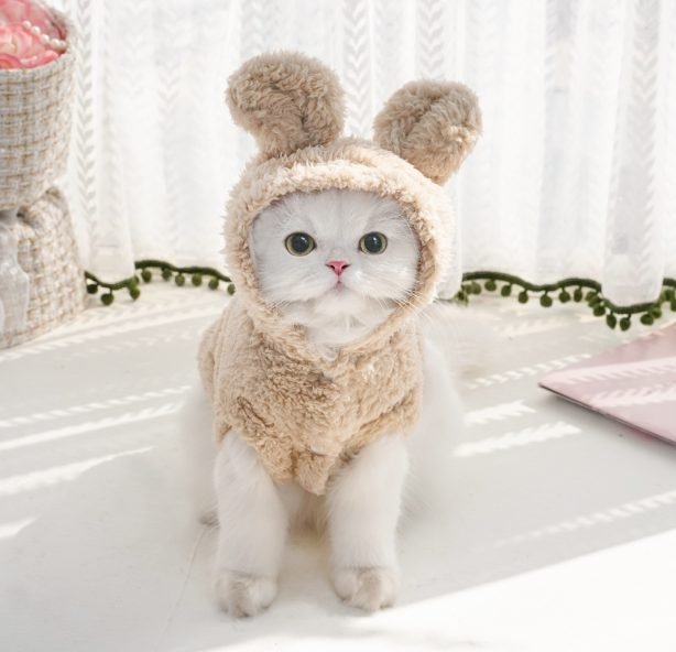 H9efc21b1c46f4de4a90f8277a5bd8788H