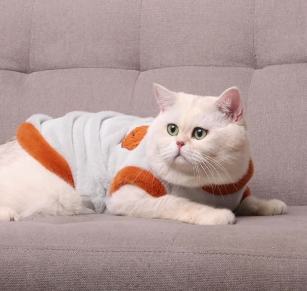 Hbd65c5c3d87b49e0bccd6b2b17fa03739