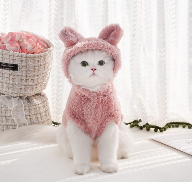 Hd4f932caf44b42438455fb5620de3ca6G